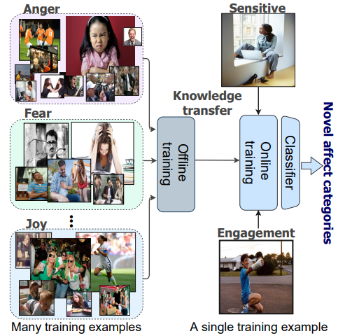Affect-DML key figure