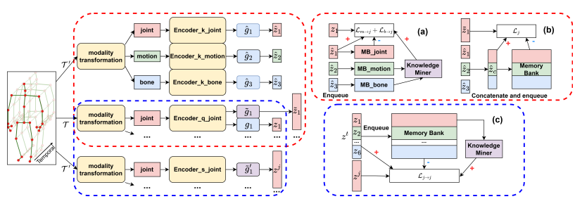 Skeleton SSL key figure